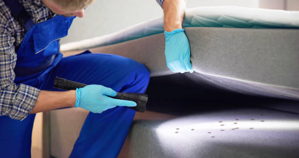 Trusted Clarendon, TX Pest Control Experts