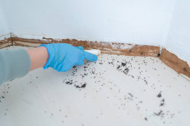 Best Pest Control for Restaurants  in Clarendon, TX