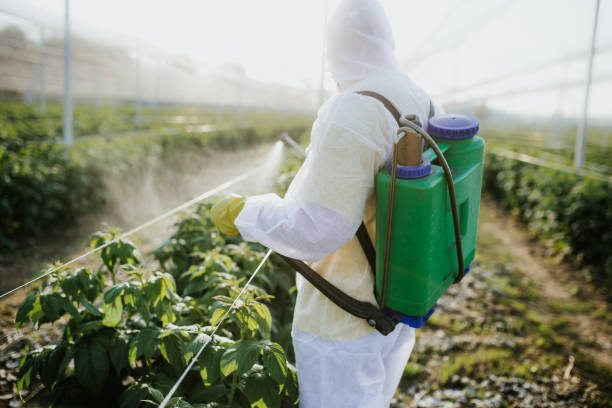 Best Bed Bug Extermination  in Clarendon, TX